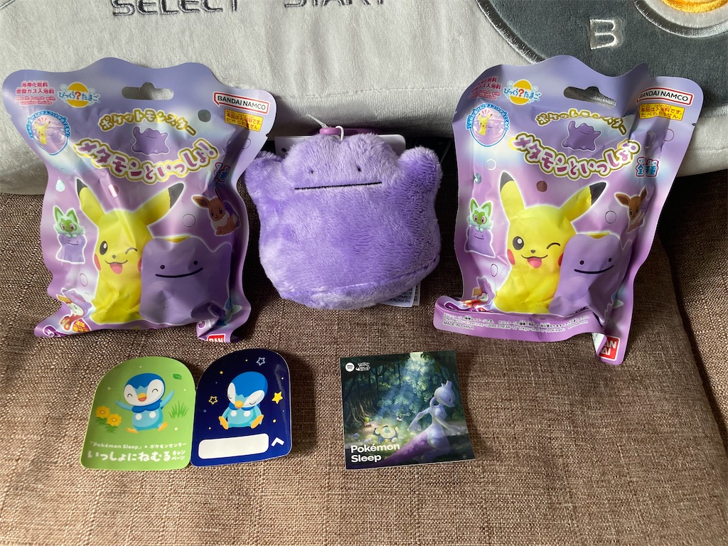 ポケモンセンターキョウト ショップ袋 京都限定ピカチュウを求めてポケモンセンターキョウトへ行った結果