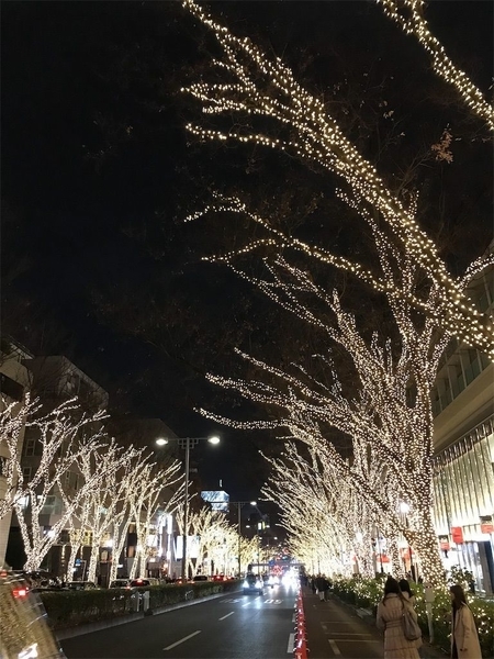 f:id:eruzou:20191223124234j:plain