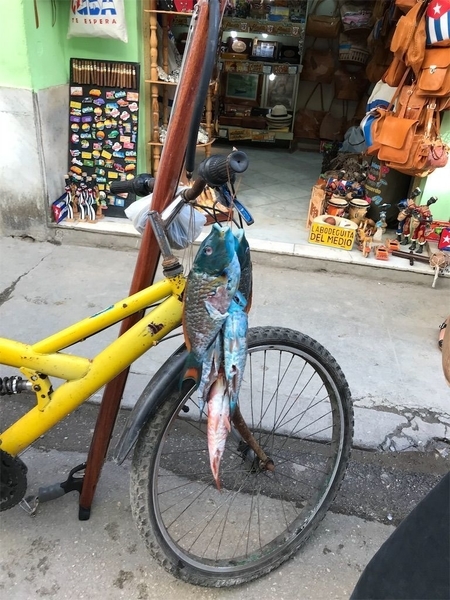 f:id:eruzou:20200501170742j:plain