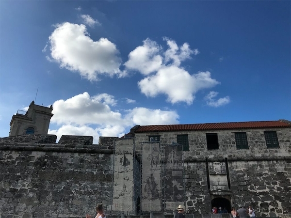 f:id:eruzou:20200501171139j:plain