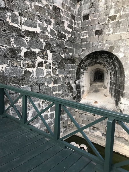 f:id:eruzou:20200501171203j:plain