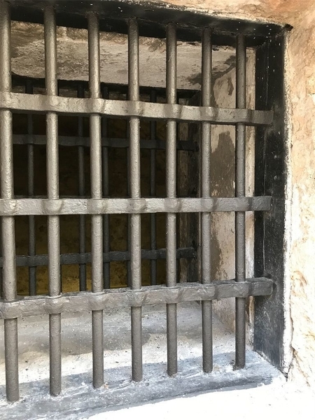 f:id:eruzou:20200501171409j:plain