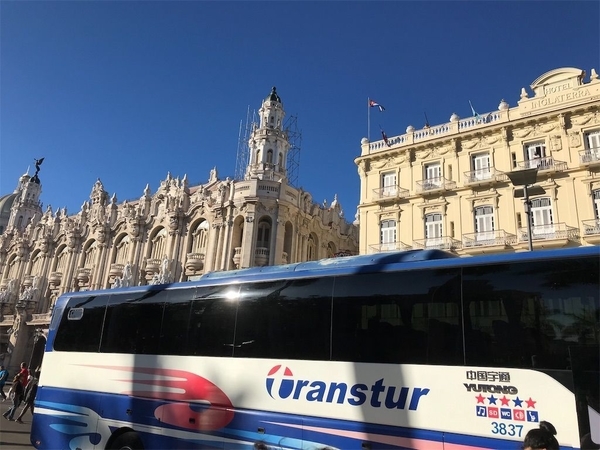 f:id:eruzou:20200504114951j:plain