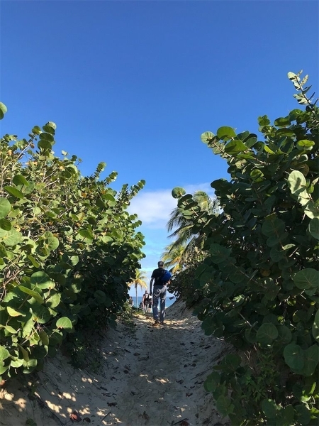 f:id:eruzou:20200504115308j:plain