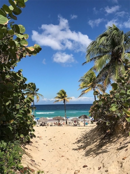 f:id:eruzou:20200504115325j:plain