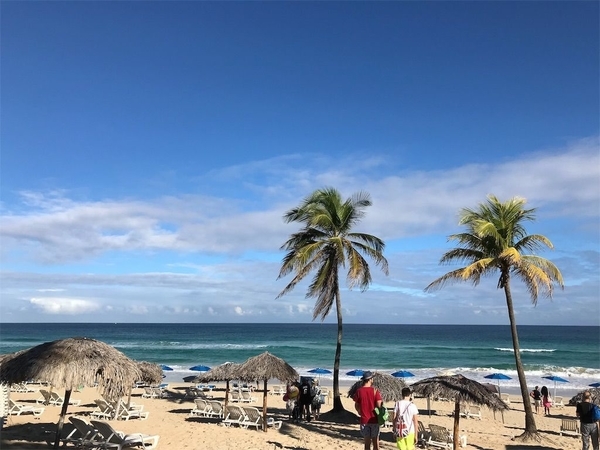 f:id:eruzou:20200504115527j:plain