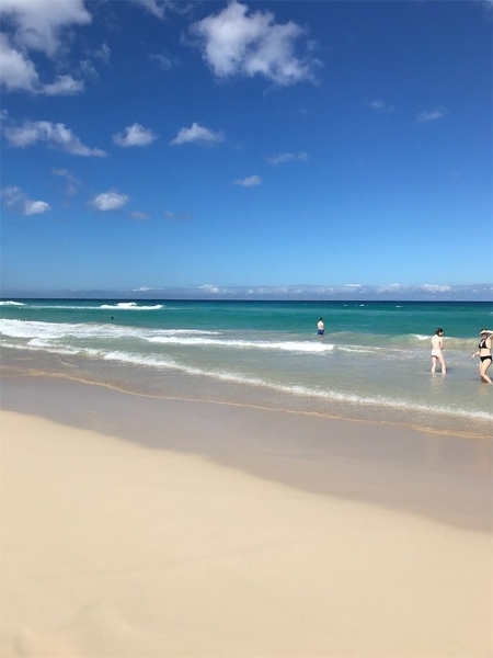 f:id:eruzou:20200504115712j:plain