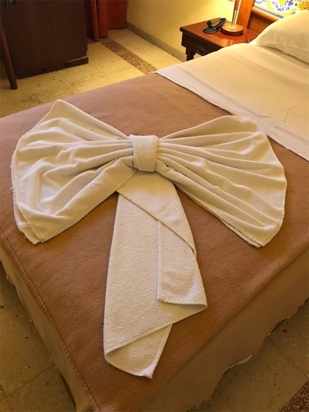 f:id:eruzou:20200509093334j:plain