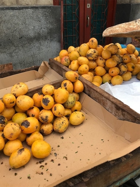 f:id:eruzou:20200509093346j:plain