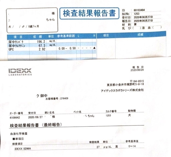 f:id:eruzou:20200803173421j:plain f:id:eruzou:20200803173421j:plain