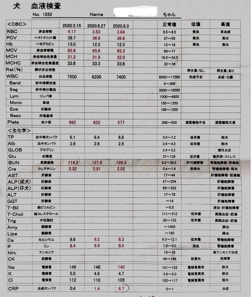 f:id:eruzou:20200803173437j:plain f:id:eruzou:20200803173437j:plain