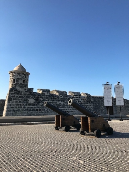 f:id:eruzou:20200809172303j:plain