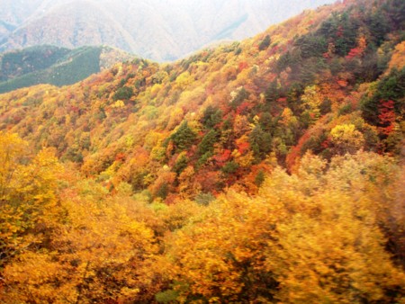 f:id:eryuk1208:20081103180315j:image