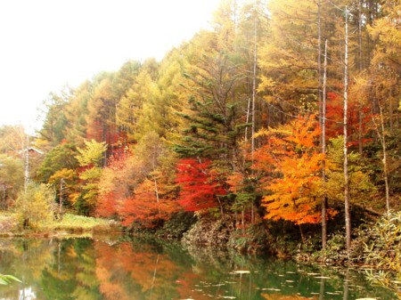 f:id:eryuk1208:20081103180907j:image