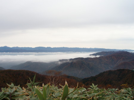 f:id:eryuk1208:20081103181755j:image
