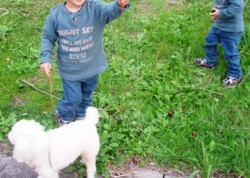 f:id:eryuk1208:20081107122300j:image