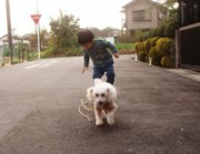 f:id:eryuk1208:20081107122851j:image