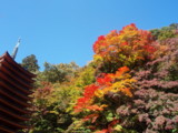 f:id:eryuk1208:20081114125549j:image