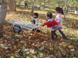 f:id:eryuk1208:20081125185944j:image