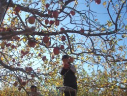 f:id:eryuk1208:20081125190940j:image