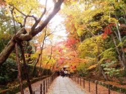 f:id:eryuk1208:20081128193203j:image
