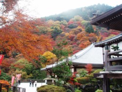 f:id:eryuk1208:20081128194922j:image