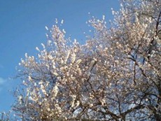 f:id:eryuk1208:20081230180544j:image