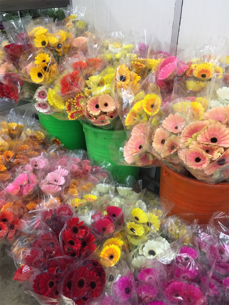 f:id:es160930:20191029224446j:image