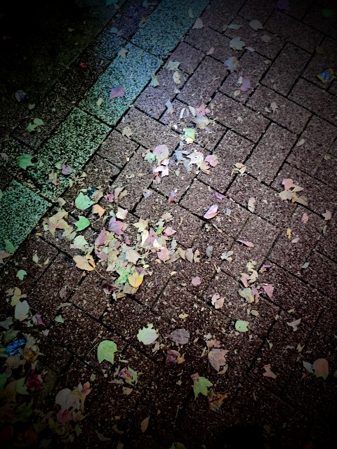 f:id:es345335175:20251018010101j:image