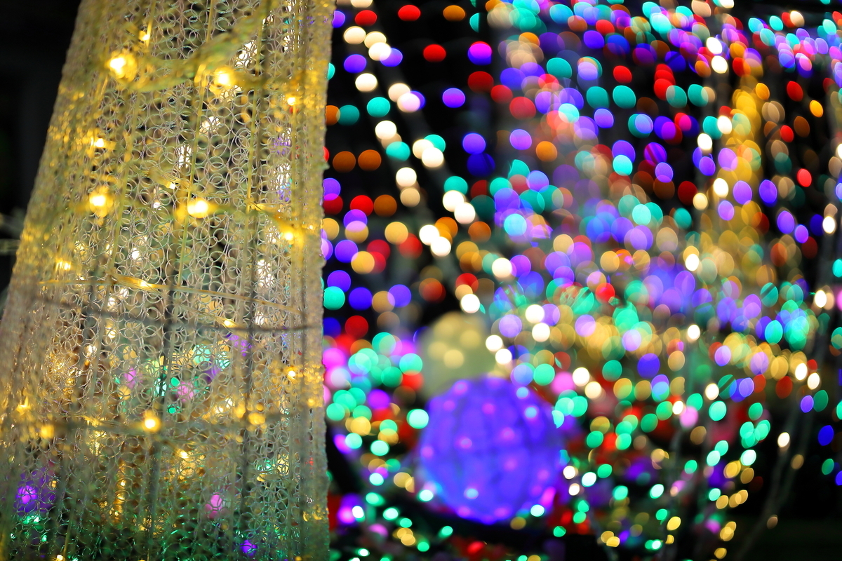 f:id:es60:20191207154030j:plain