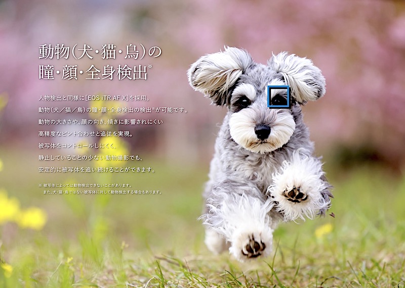 f:id:es60:20200810111548j:plain