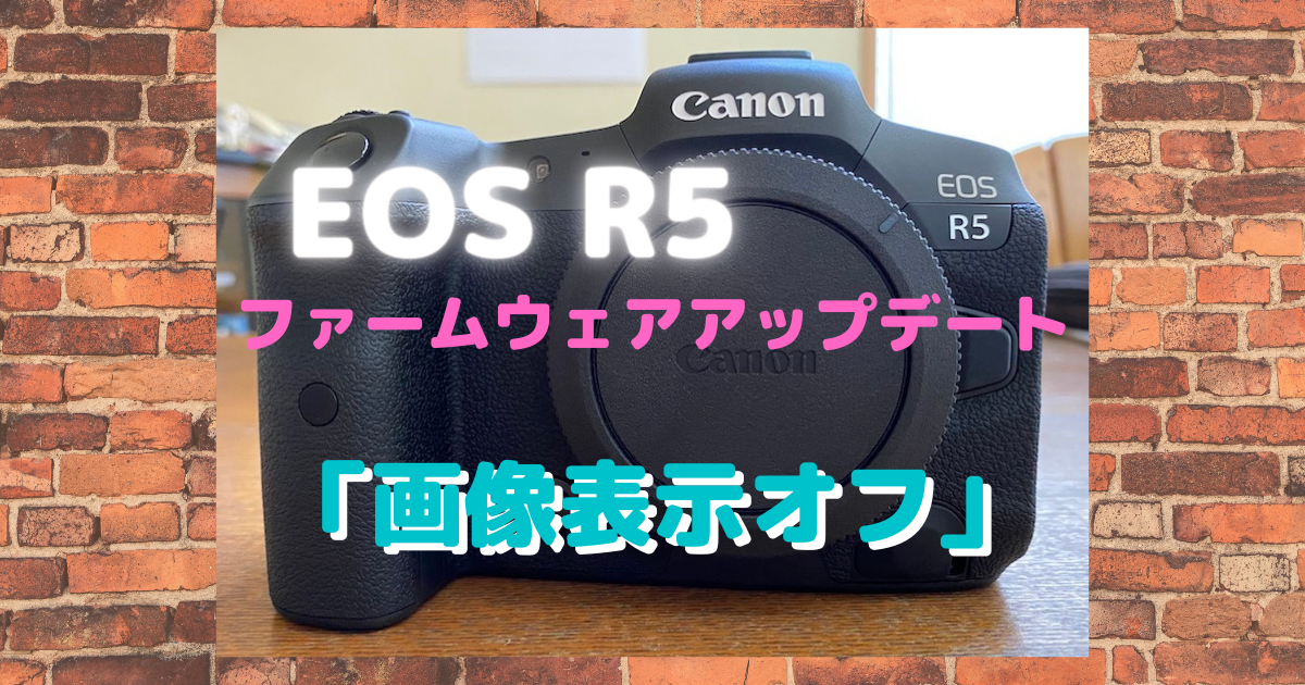 Canon EOS R5・R6のファームウェアアップデートが来た！〜静止画撮影時の「モニターオフ」に歓喜！〜 カスタム/CUSTOM/でいこう😎