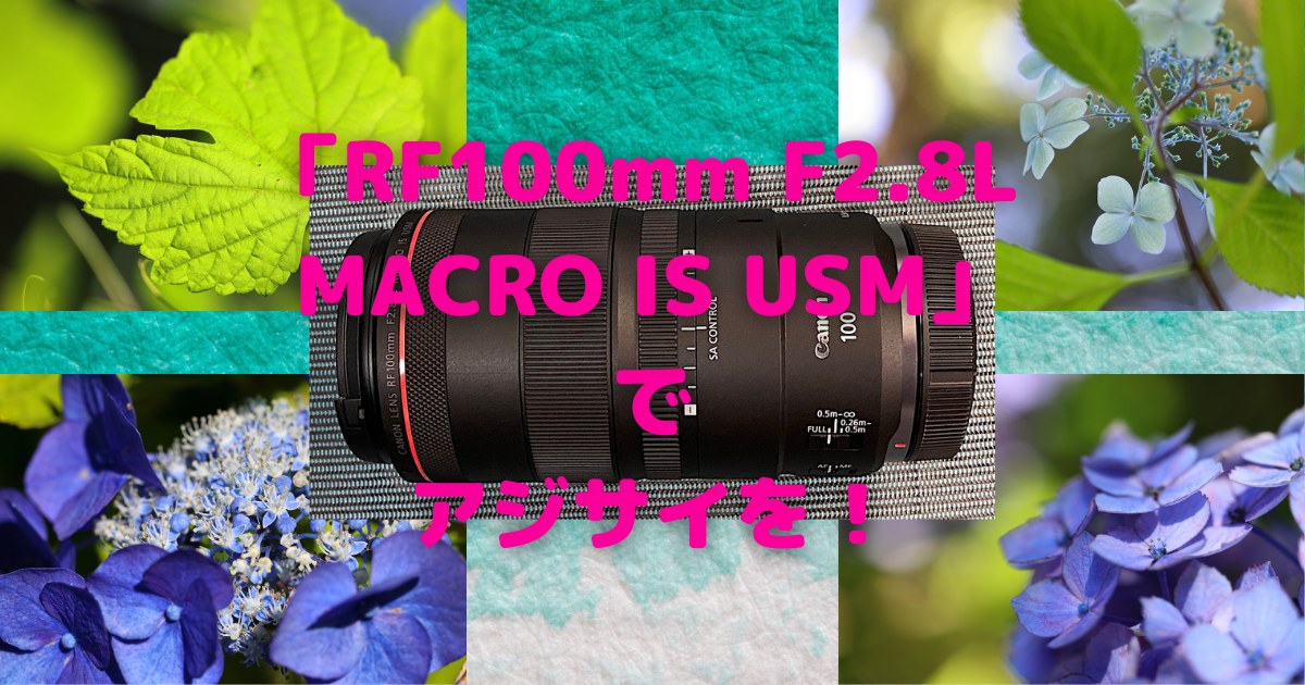 Canon「RF100mm F2.8L MACRO IS USM」でアジサイを！〜キレッキレと 