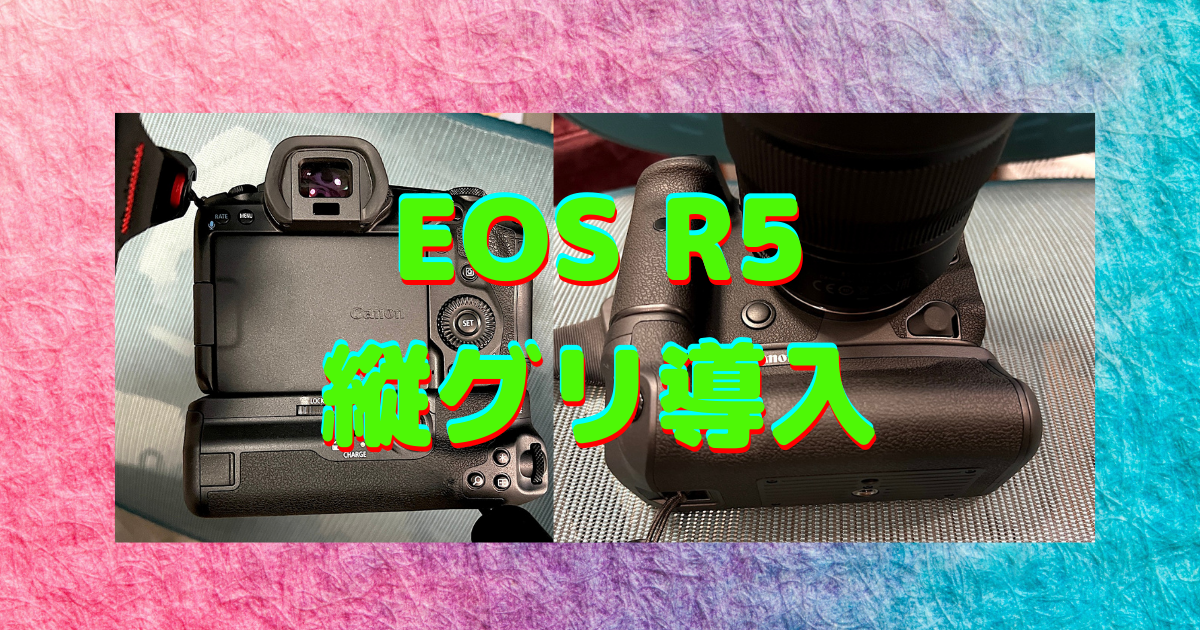 EOS R5用縦グリップ「BG-R10」に手を出してしまった〜縦位置撮影