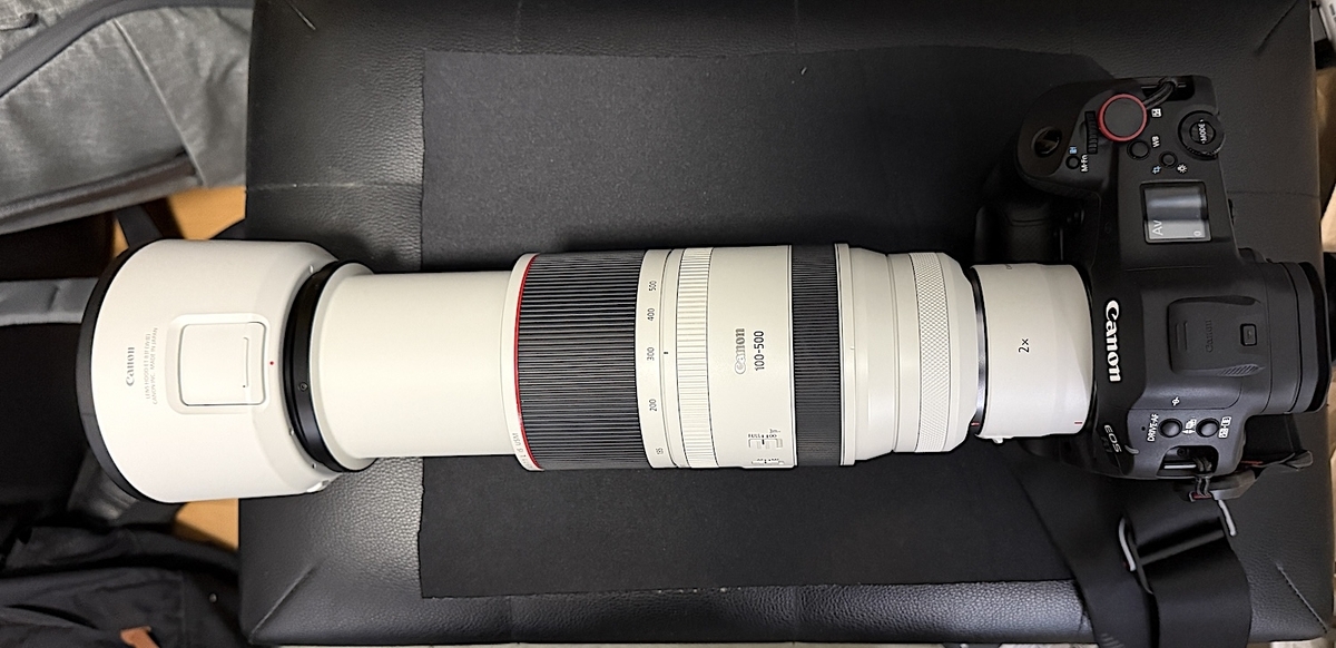 Canon - ★2020万画素＆超望遠200mm★キャノン EOS 6D ダブルレンズセット 0117155732_63c646dc74fee.png