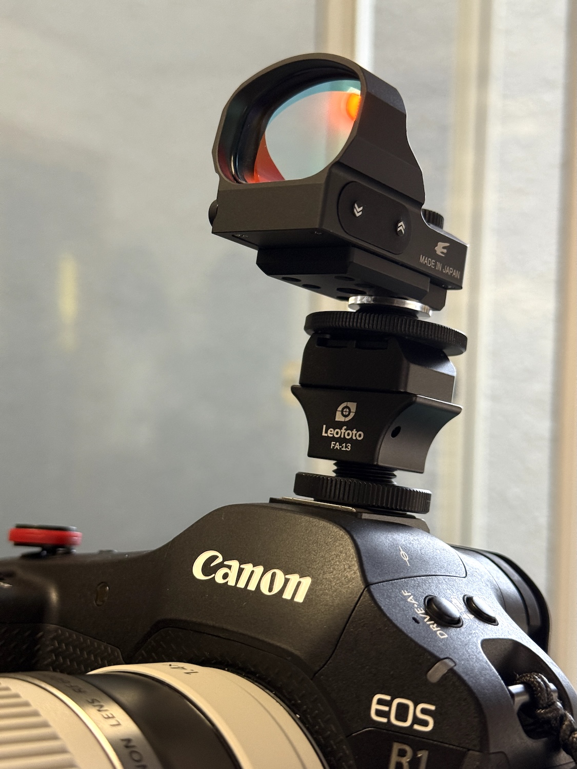 野鳥撮影超初心者がキヤノン「RF600mm F4 L IS USM」を使って実感した