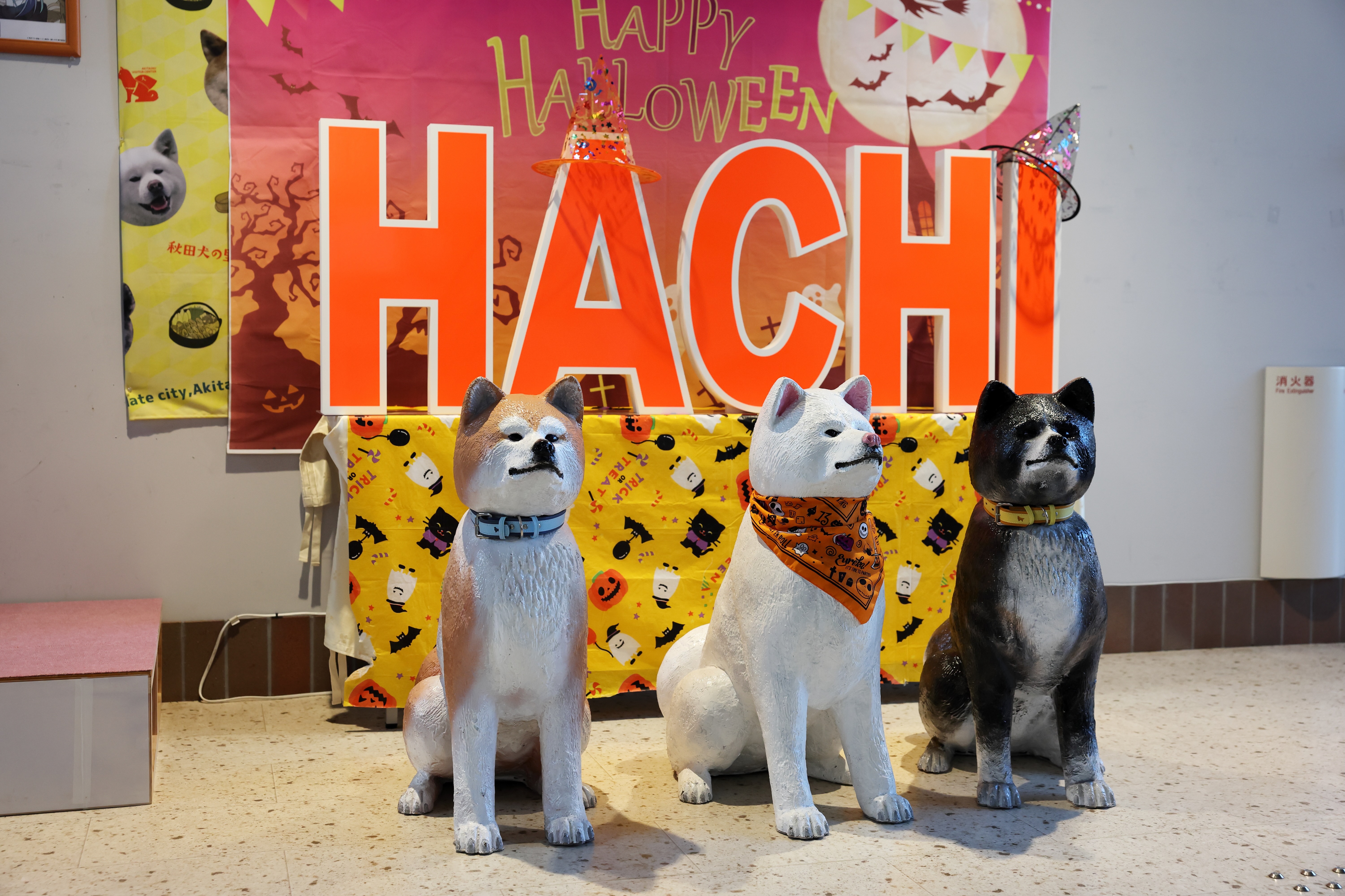 CX-60のある生活【131】 大館市「秋田犬の里」が素晴らしかった件