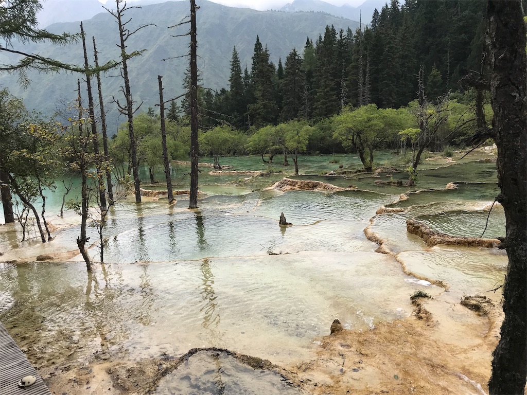 f:id:esakana:20180830235735j:image f:id:esakana:20180830235735j:image
