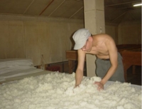 f:id:esake:20100201152207j:image f:id:esake:20100201152207j:image