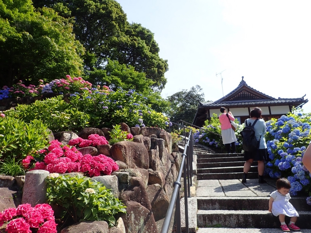 f:id:escada:20180618003023j:plain