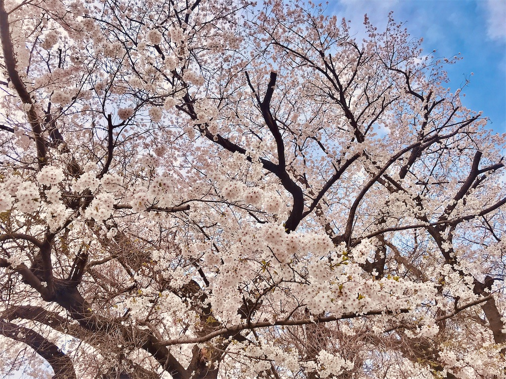 f:id:escape-sz:20240408184041j:image f:id:escape-sz:20240408184041j:image