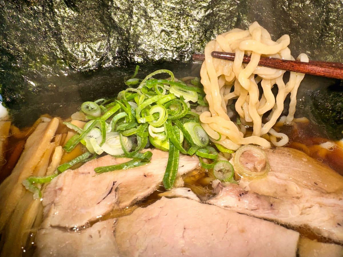 中華そば処 琴平荘 ふるさと納税返礼品 麺