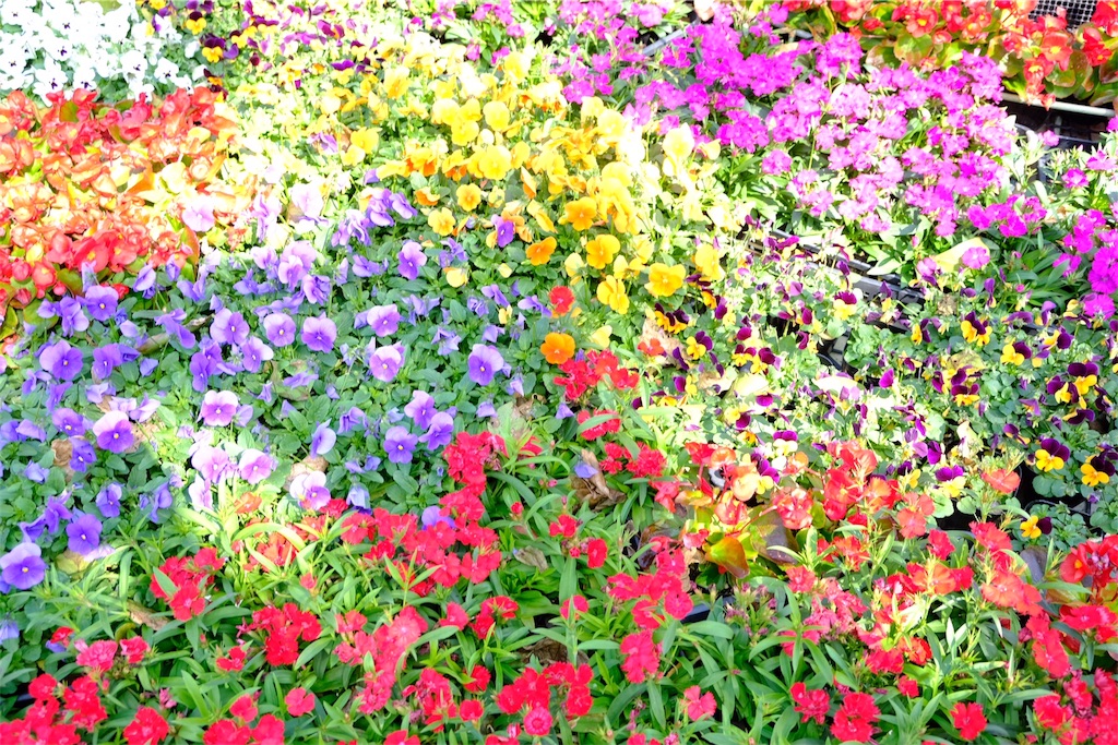 f:id:escapismphoto:20180213192621j:plain f:id:escapismphoto:20180213192621j:plain