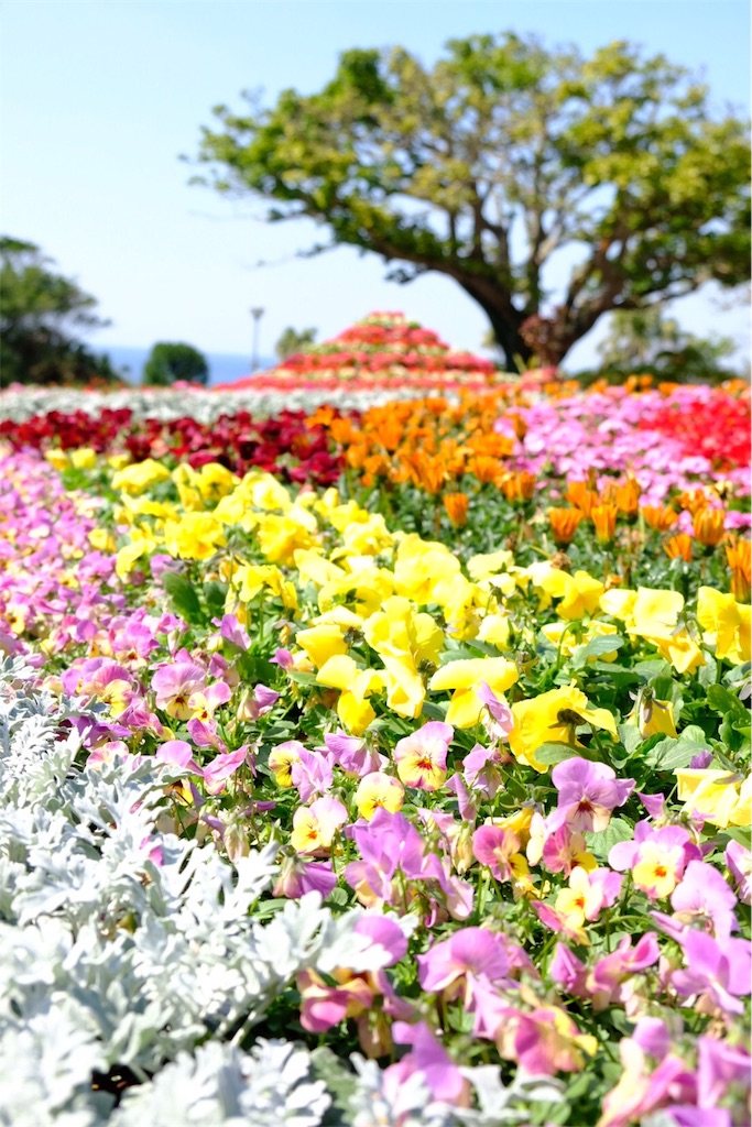 f:id:escapismphoto:20180213192636j:plain f:id:escapismphoto:20180213192636j:plain