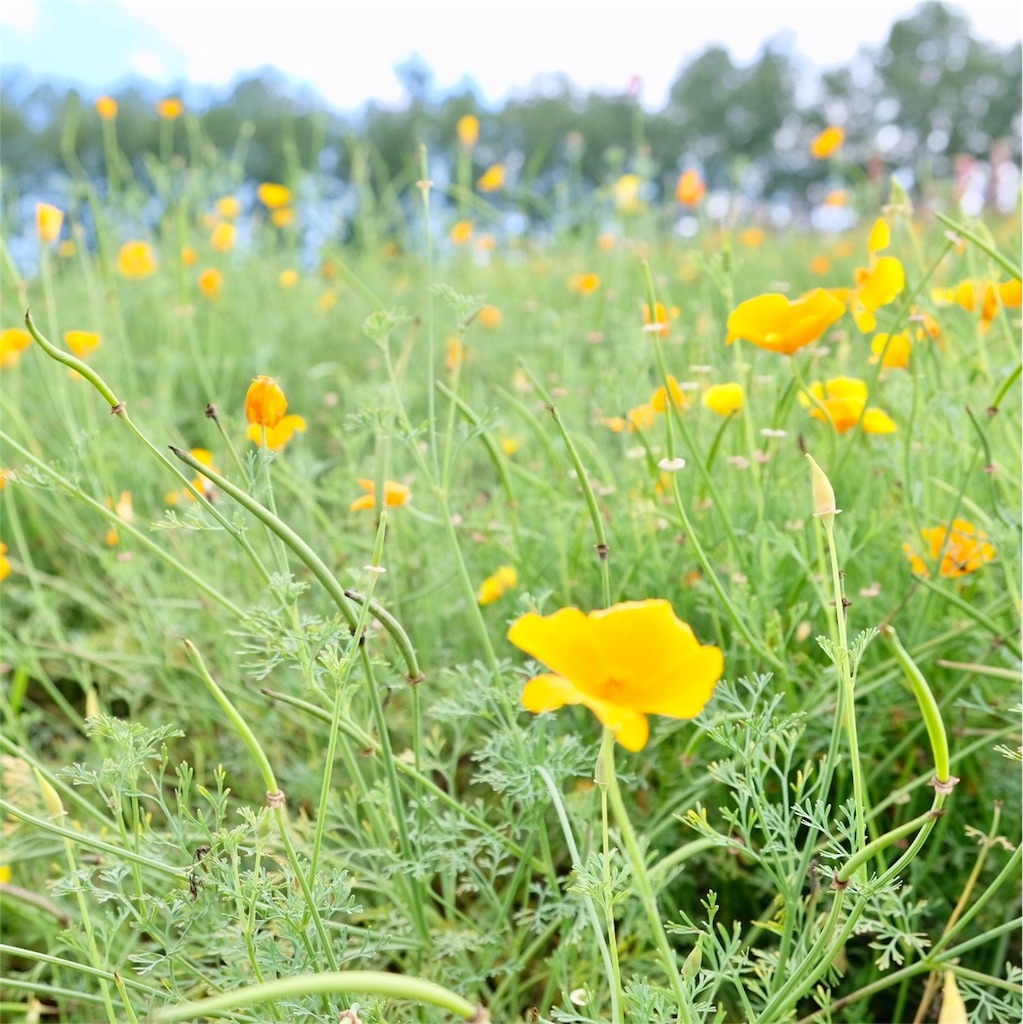f:id:escapismphoto:20180724155722j:plain f:id:escapismphoto:20180724155722j:plain