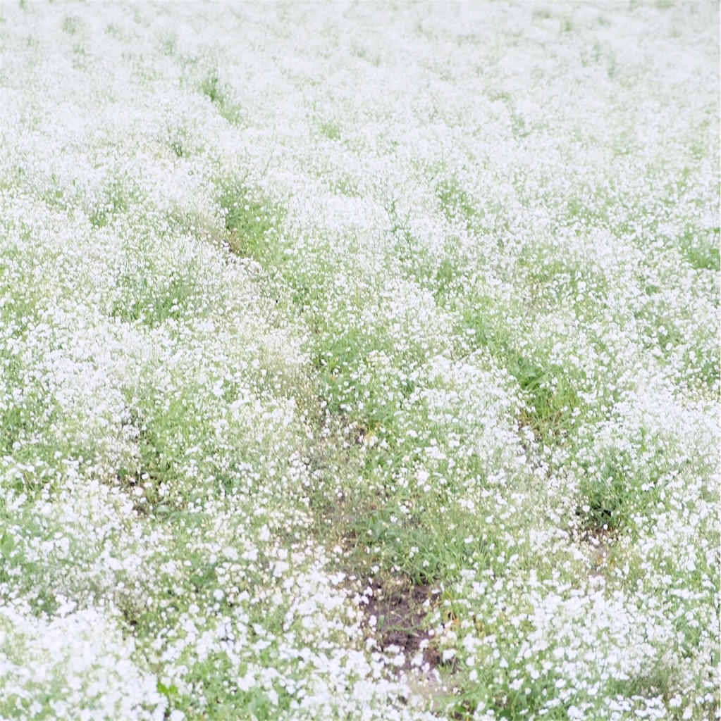f:id:escapismphoto:20180724155956j:plain f:id:escapismphoto:20180724155956j:plain