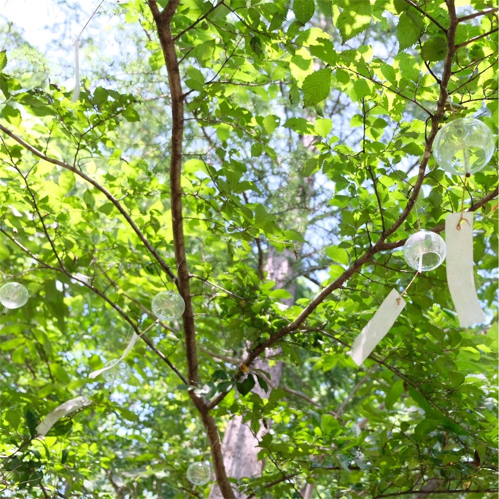 f:id:escapismphoto:20180724160009j:plain f:id:escapismphoto:20180724160009j:plain