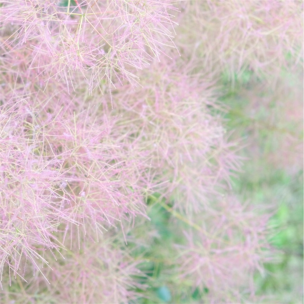 f:id:escapismphoto:20180724160138j:plain f:id:escapismphoto:20180724160138j:plain