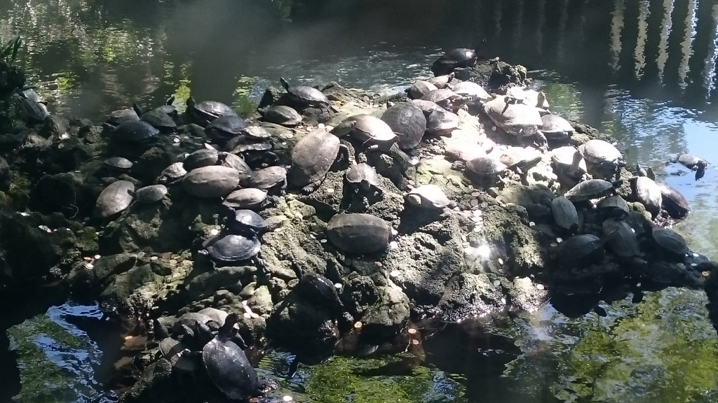 f:id:ese19731107:20170918103254j:plain