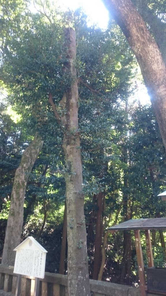 f:id:ese19731107:20171027112435j:plain